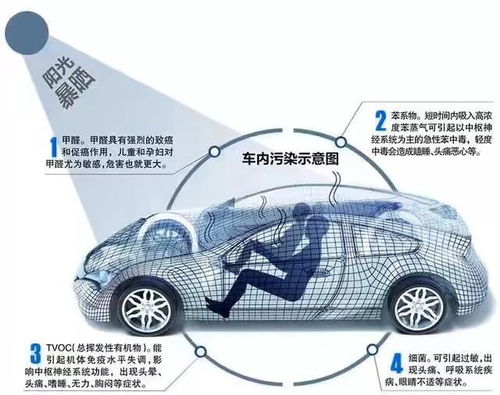 汽车帘子尺寸是多少