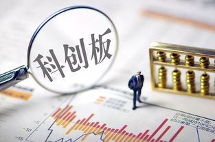 胖都来股东申请盈都来肥都来商标