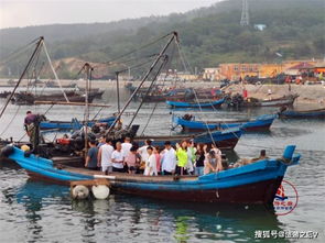 海岛有多少种汽车