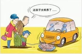 工资多少养得起汽车