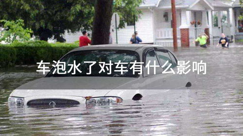 多少水汽车会泡水 多少水汽车会泡水