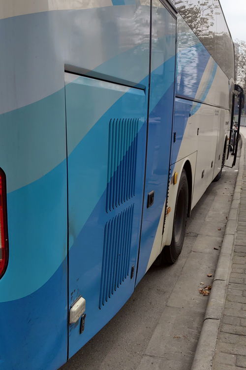 2023义乌有多少汽车