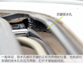 汽车水管卡子多少厘米