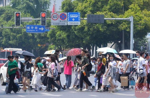 马景涛直播中晕倒 本人回应来了