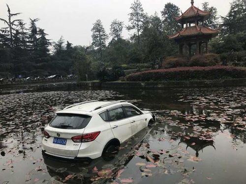 桐城到望江汽车多少