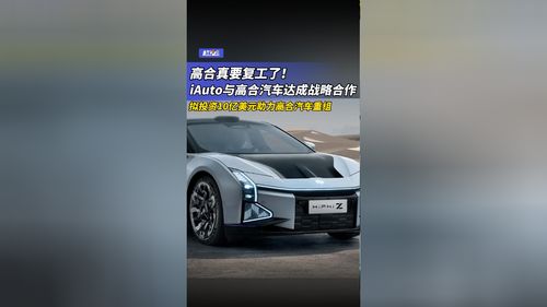 高合汽车投资多少