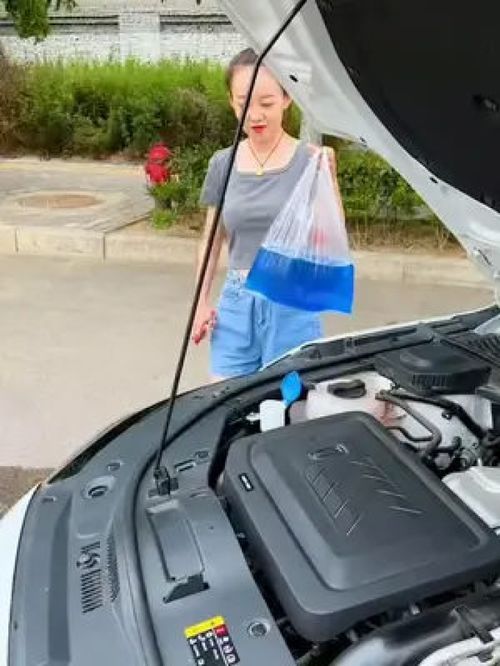 汽车泡腾片放多少水 汽车泡腾片放多少水