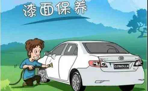 汽车油漆保养收费多少
