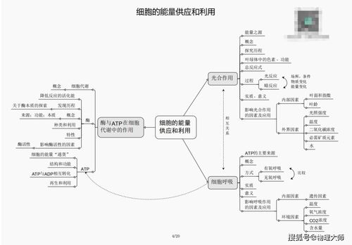 朱雀玄武敕令第三次高考246分