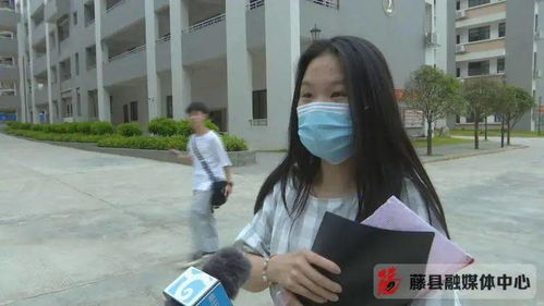 朱雀玄武敕令第三次高考246分
