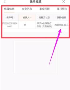 汽车保多少额度